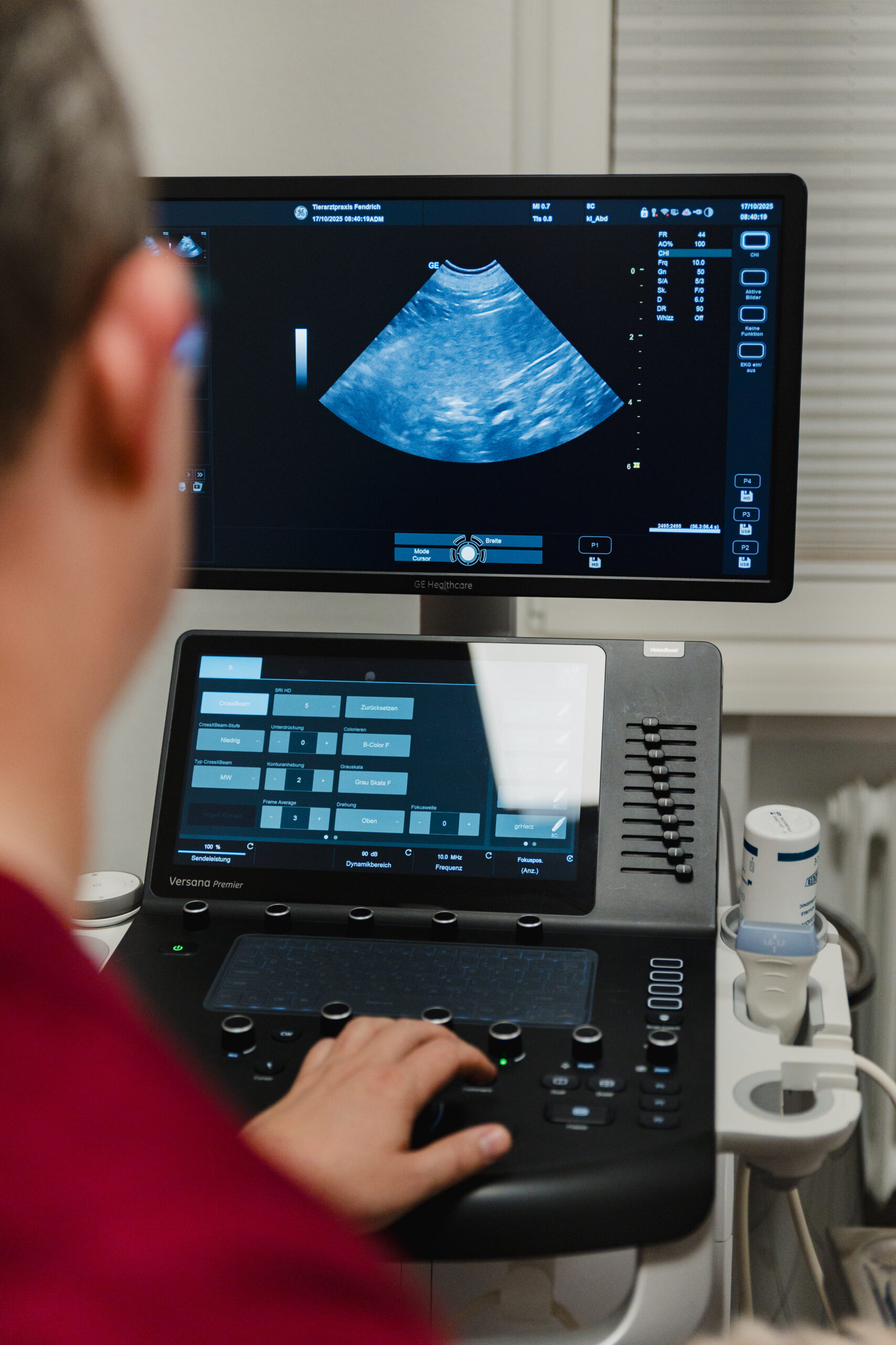 Tierarzt Fendrich-27 Tierarzt schaut sich ein ultraschall Bild auf einem Monitor an