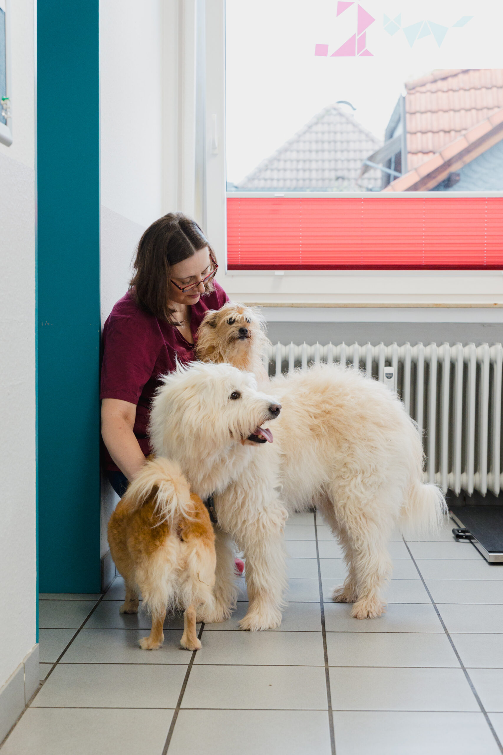 Tierarzt Fendrich-58 Tierärztin mit 2 kleinen und 1 großen Hund